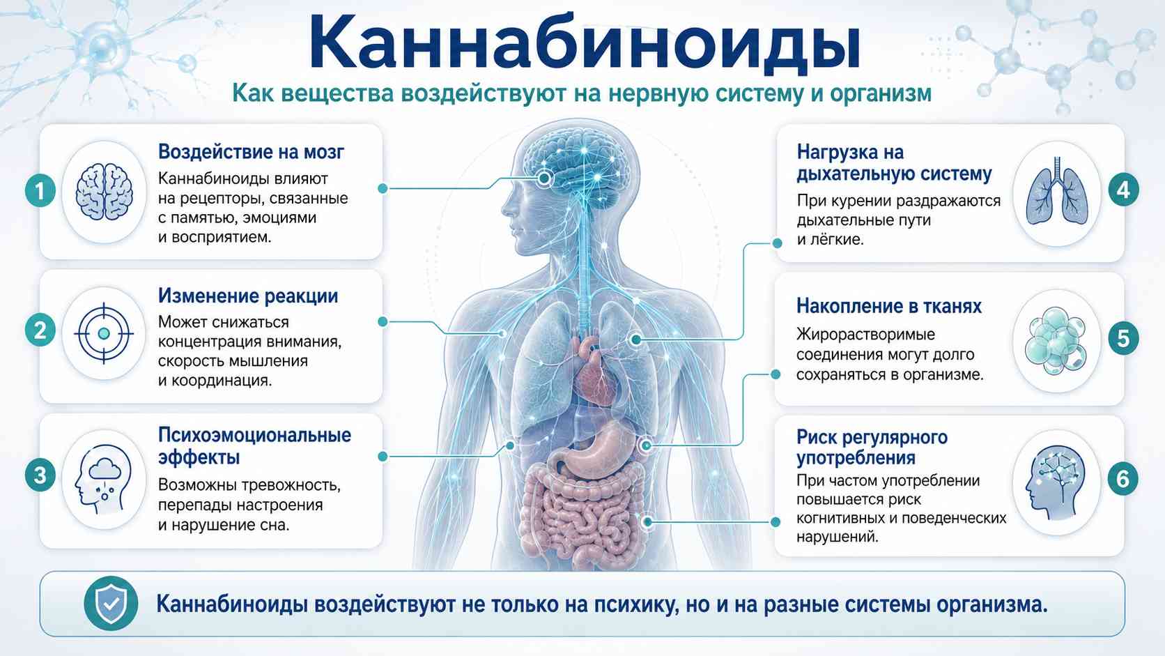 Каннабиноиды — воздействие на нервную систему и организм Инфографика о воздействии каннабиноидов на организм человека: влияние на мозг, нервную систему, дыхание, психоэмоциональное состояние и когнитивные функции.